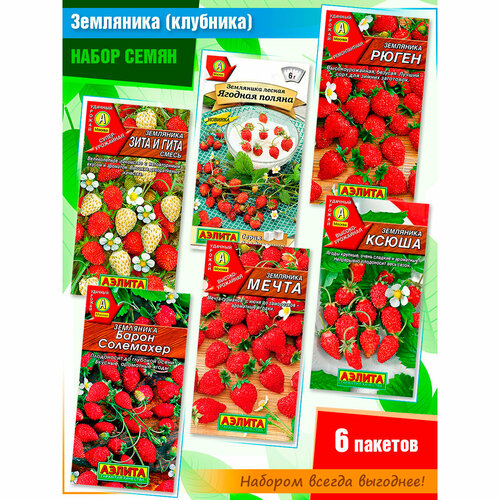 ���� ����� ����� ��������� (��������) 6-�� ������ �� �������� ������ (6 �������) ������ ������