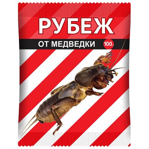 ���� ���� ��������� ������� �� �������� �����, 100 � ������ ������