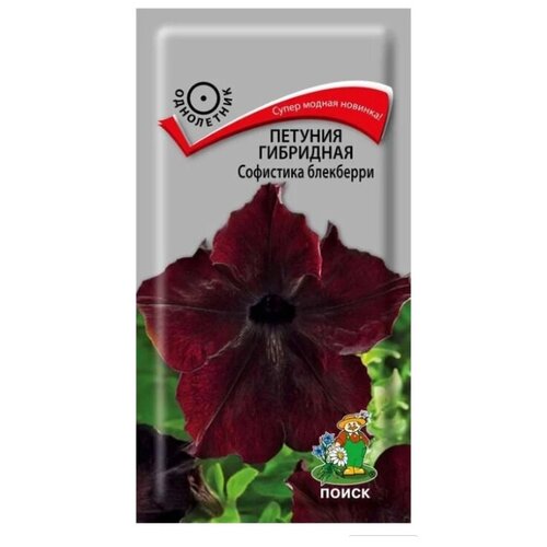 ���� ������ ����� ������� ��������� ��������� ��������� 5 ��. ������ ������