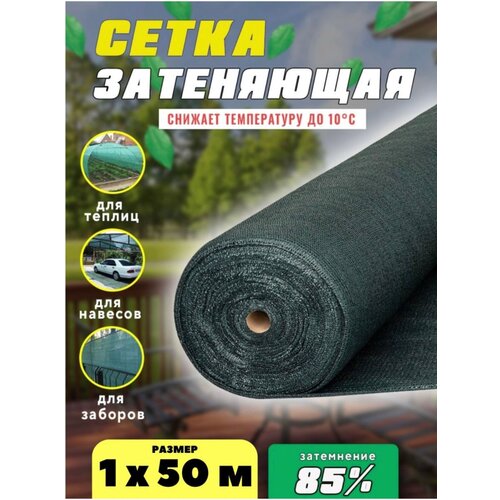 ���� ����� ���������� �������, ��������� 85%, ������ 1�50� ������ ������