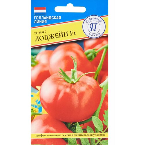 ���� ������ ����� ������� F1, 5 ��. ������ ������