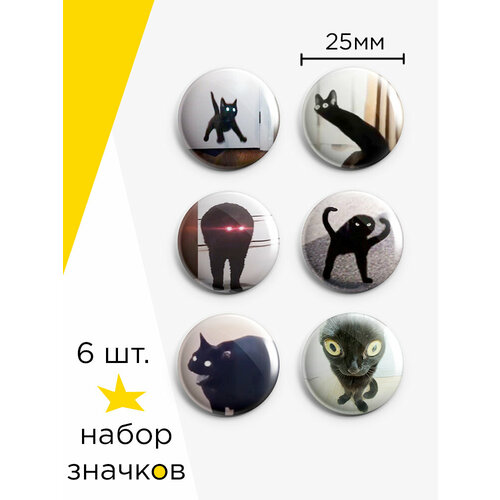 ���� ����� ������� ���� ׸���� ����, 6 ��, 25 �� ������ ������