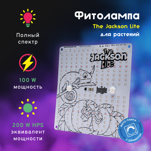  LED  The Jackson 100W Lite     -     , -, 