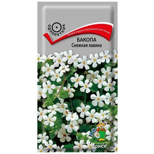 ���� ������ ����� ������ ������� ������ 5 ��. ������ ������