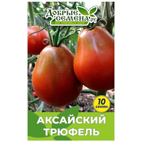 ���� ������ ������ ��������� ������� - 10 �� - ������ ������. �� ������ ������