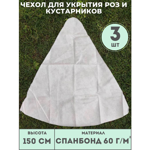 ���� ������ ����� (������ 150��) ��� ��� � ����������� (3 ��./����.) �� ��������� 60 �/�2, ��� ������� ������ ������