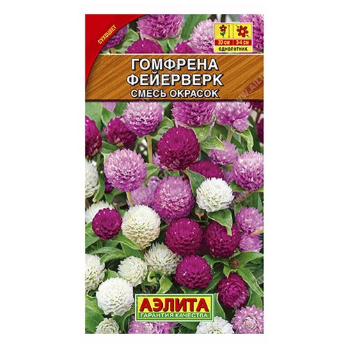 ���� ������. �������� ���������� 