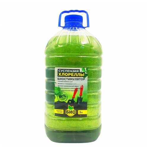 ���� �������� ��������� 5� (������������� �����, �������� ��������� ��������) ������ ������