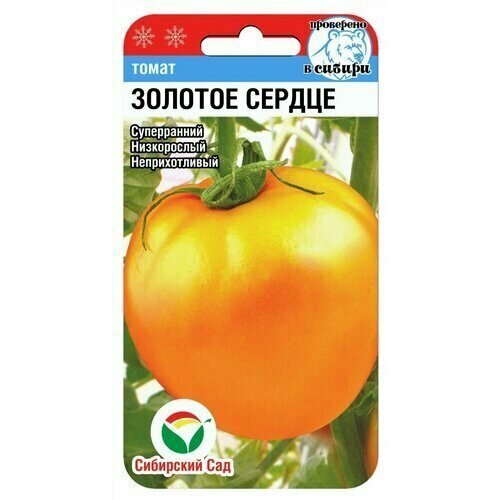 ���� ������ ����� ������� ������ 20�� ��� ������ (��������� ���) ������ ������