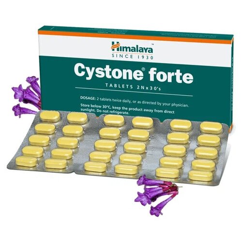 ���� ������ ����� ������� (Cystone Forte) ��� ������� ����������� �������, ������� ����� �� �����, 60 ���. ������ ������
