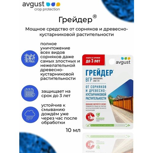 ���� �� �������� ������� ������ 10 �� ������ ������