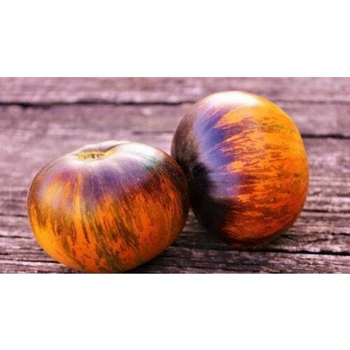 ���� ������������� ������ ������ ����� ����� ������ ������