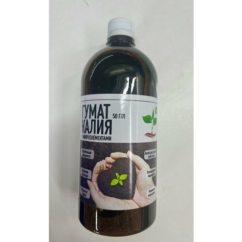 ���� ����� ����� � ��������������� 50 �/�1 ���� ������ ������