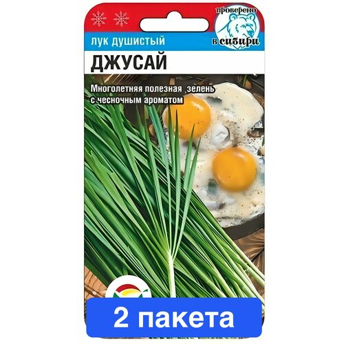 ���� ������ ������ ��������� ��� 