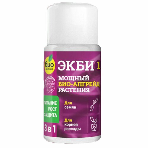 ���� ���-�������� 