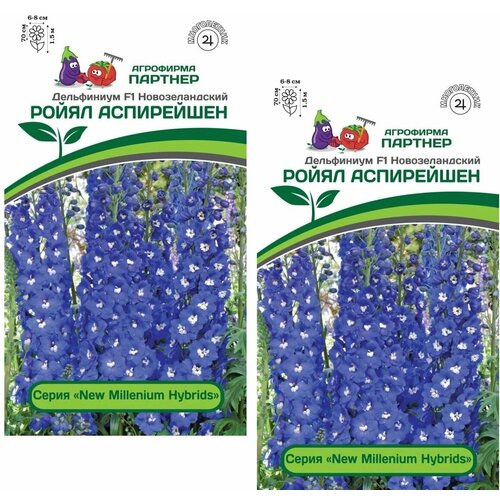 ���� ������ ���������� ����� ���������� F1 /��������� �������/ 2 ��������, 6 ����� ������ ������