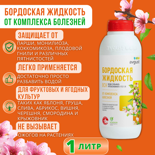 ���� ��������� �������� ������, 1 ���� ��� ������ �������� �� �������� � ��������� ������ ������