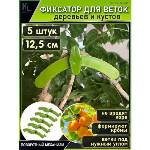 ���� KoLeli / ���������� ��������� ��� ����� / �������� ��� ��������, ������������� ����� � ������, ��������� / 5 �� ������ ������