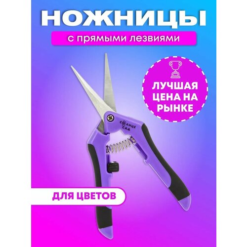 ���� ������� ������� ��� ������ � ������� �������� ������ ������