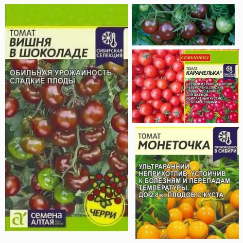 ���� ����� ����� ������� 