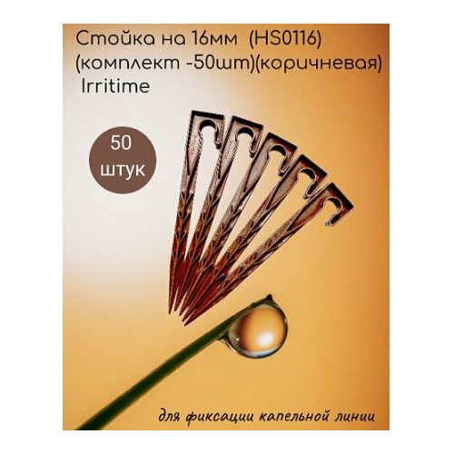    16 (HS0116)( -50)() Irritime   -     , -, 