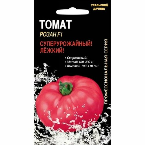 ���� ������ ����� ����� (�����������), �����������, F1 ���� 12�� ������ ������