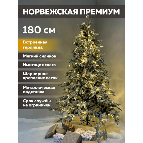 ���� ���� ������������� �� ������ � ��������� ������ ������