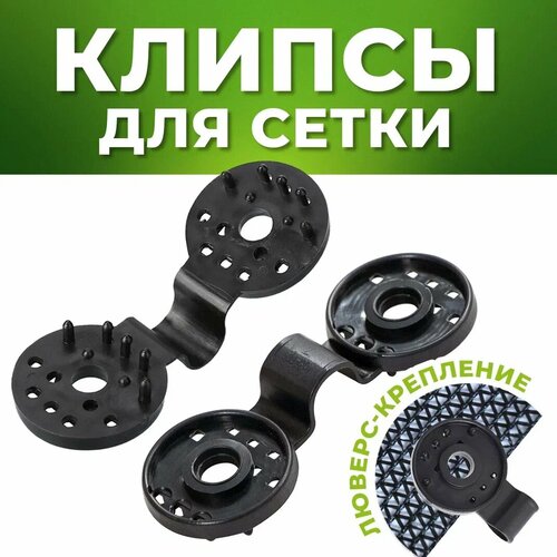 ���� ������ ��� ����� 