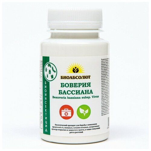 ���� ������������� ��������� ������� �������� �� ��������� ����������, 80 � ������ ������