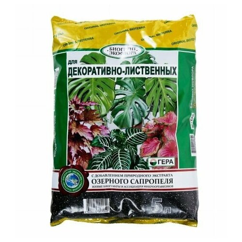 ���� ����� ��� �����������-���������� �������� 5 � ������ ������