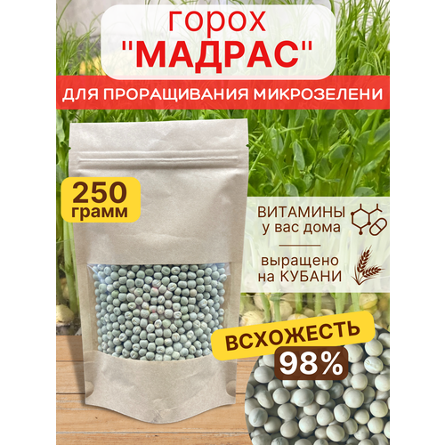 ���� ����� ������ ������ ������