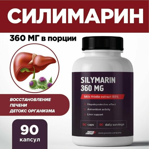   360 .  , .  , 90 . Silymarin   -     , -, 