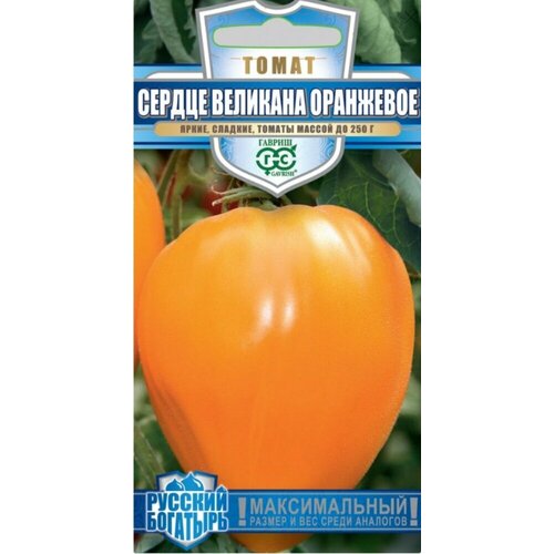 ���� ������ ����� ������ �������� ��������� 0,05� ����� (������) ������� �������� ������ ������