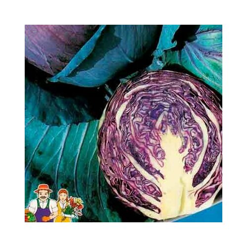 ���� ������ ������� �������������� ������� ��������� 0.2� ������ (��������� ������) ������ ������