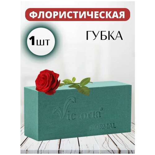 ���� ����� �������������� ������ ������