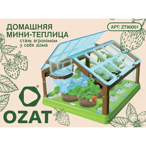 ���� ����-������� ��� ������� � �������� ����������, �������, 8 ��������� � ��������� ������ ������