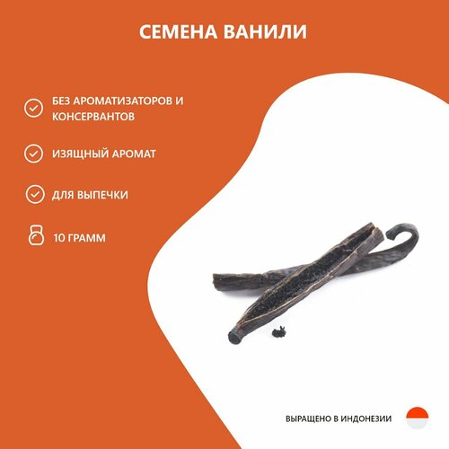 ���� ������ ������ Kings_Vanilla, 10 ����� ������ ������