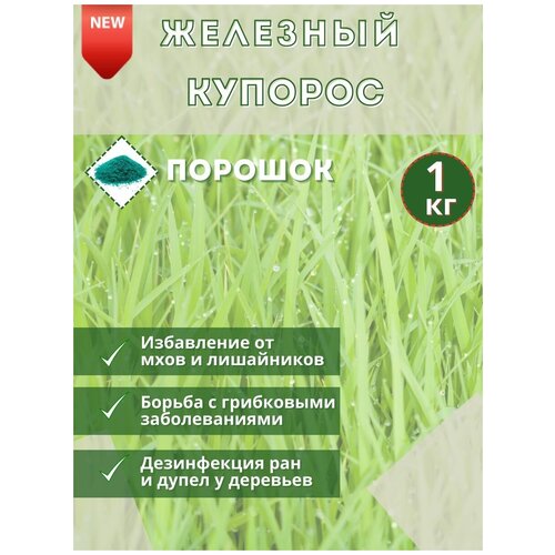 ���� �������� �������, 1�� . ��������������� �������� ��� ������ �������� �� �������� � ���������� ������ ������