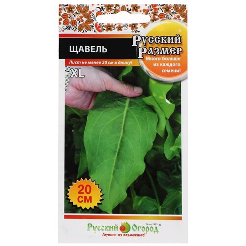 ���� ������ ������� ������ ����� ������� ������ ������, 1 � ������ ������