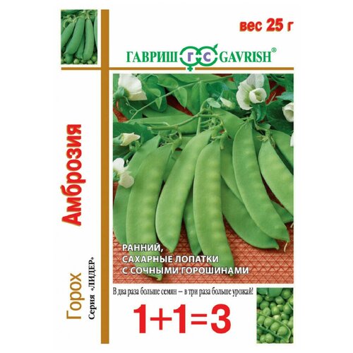 ���� ����� ��������, ������ ������ 1+1 25� ������ ������