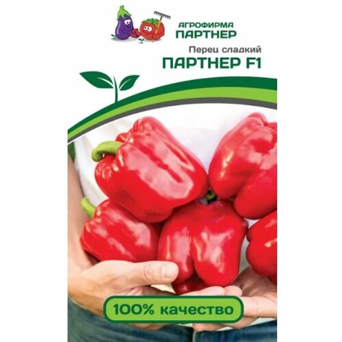 ���� ������ ����� 