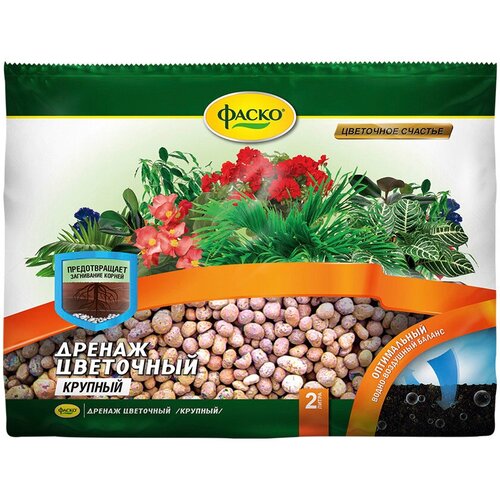 ���� ������ ����� ��������� ������� ������������� 2 � ������ ������