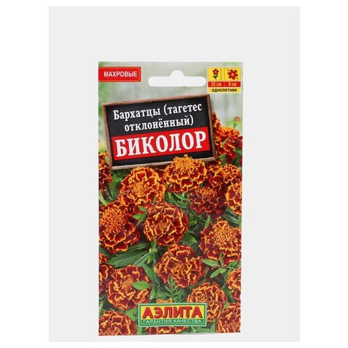 ���� ������ �������� 