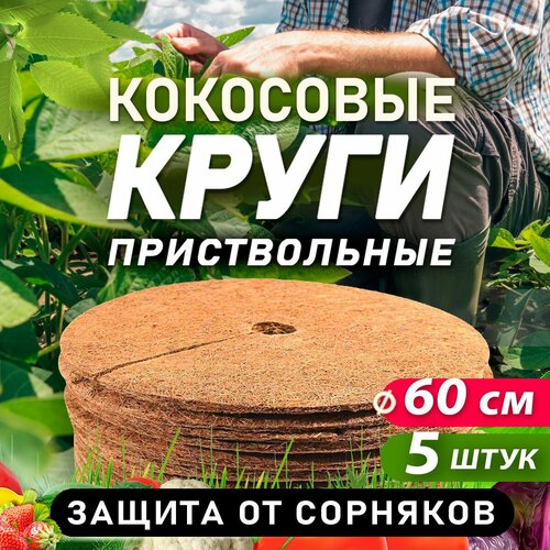 ���� ������������ ���� �� ���������� �������, ������� 60 ��, 5 ���� ������ ������