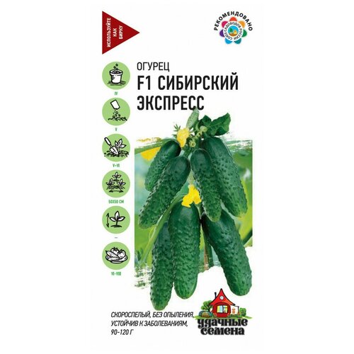 ���� ������ ������ ��������� �������� F1, 10��, ������� ������, 10 �������� ������ ������