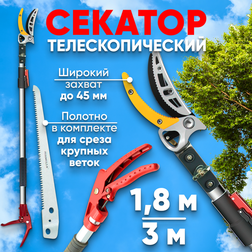 ���� ��������������� ������� ��� ������� ������� ��������, ������� �������� ���������� ��������� ������ ������