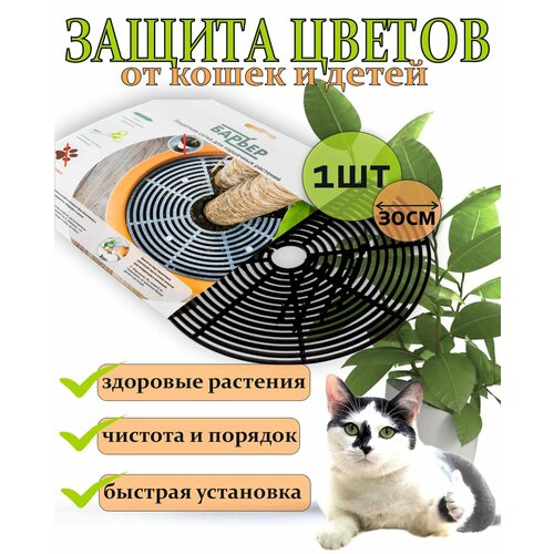 ���� 1 �� ������ - ������� ��� �������� ������ ������ ������