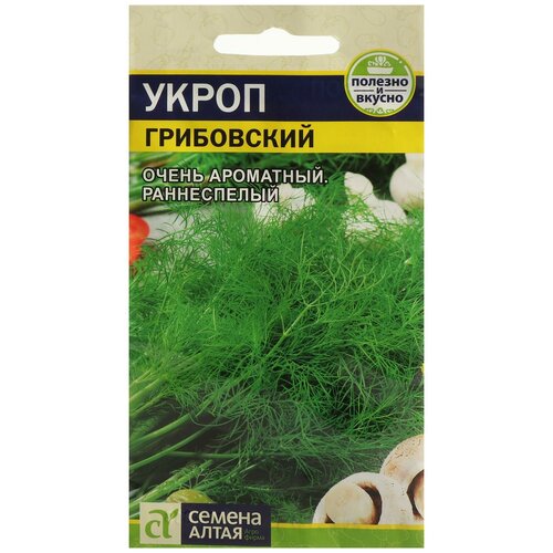 ���� ������ ����� 