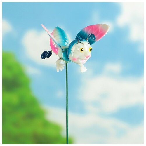 ���� ������ 