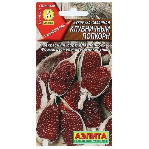 ���� ������ �������� �������� 